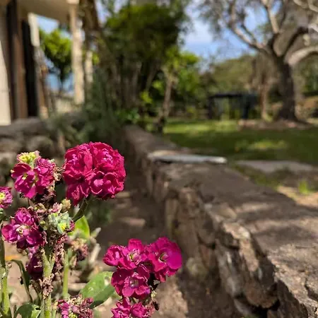 Σαλέ Charming Sardinian Dream