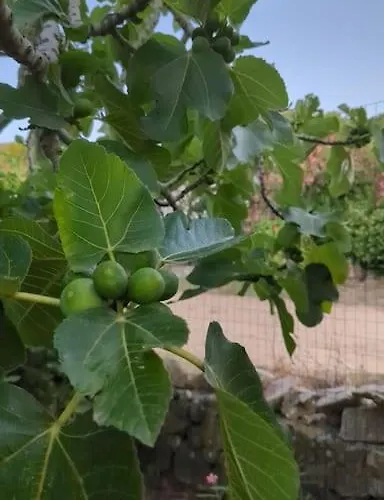 Charming Sardinian Dream Chalet